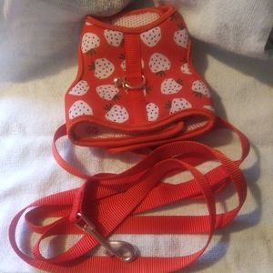 Kitten harness & leash